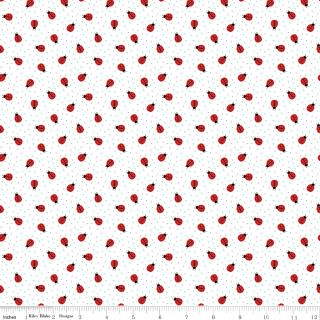 Little Ladybug Ladybugs White