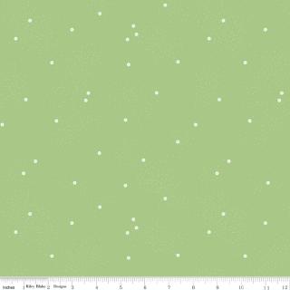 Dainty Daisy Grass