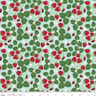 Little Ladybug Strawberries Blue