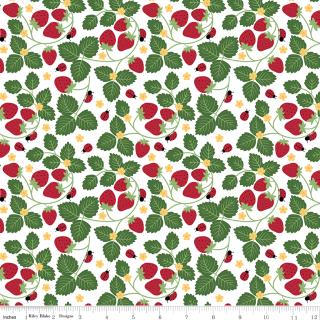 Little Ladybug Strawberries White