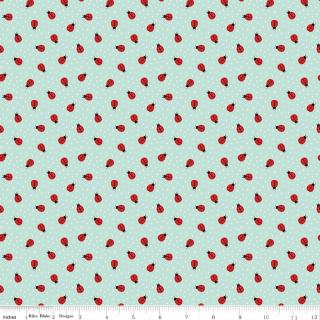 Little Ladybug Ladybugs Blue