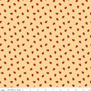 Little Ladybug Ladybugs Yellow