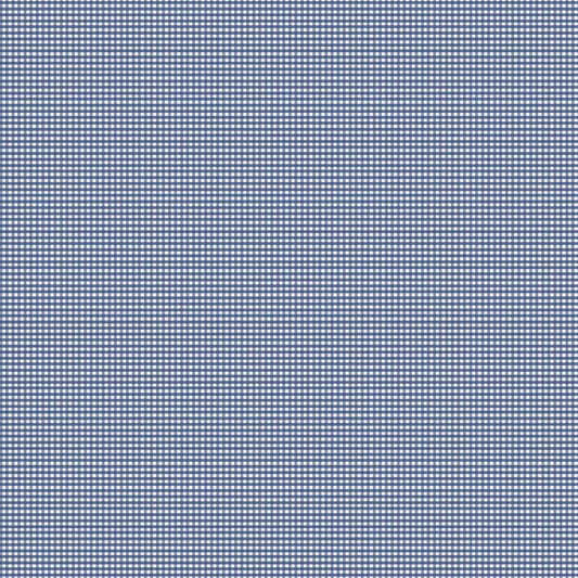 Micro Gingham Denim