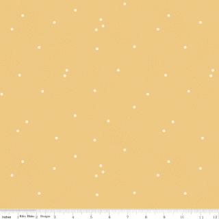 Dainty Daisy Honey